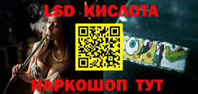 винт Донецк