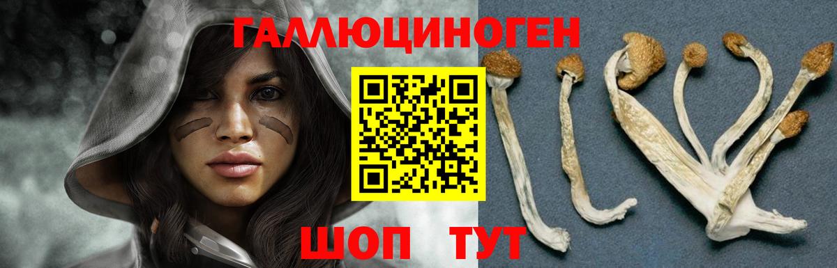 Кумертау  Галлюциногенные грибы GOLDEN TEACHER  Вход с VPN 